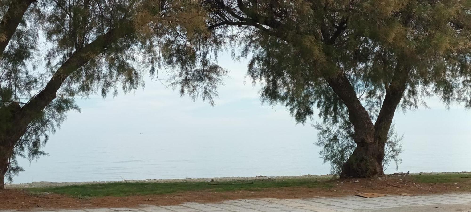 Mana Mia Seaside Apartments Leptokarya  Dış mekan fotoğraf